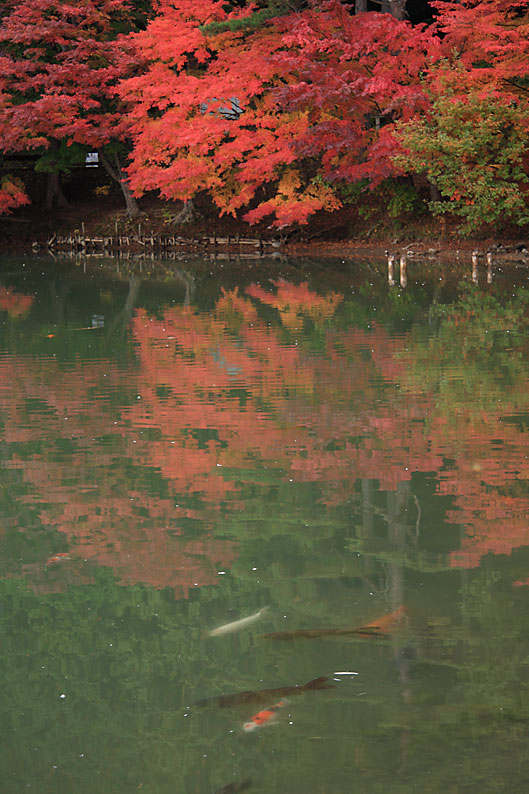 伊奈ヶ湖