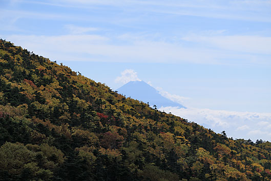 大弛峠周辺1